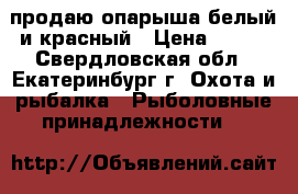 продаю опарыша белый и красный › Цена ­ 401 - Свердловская обл., Екатеринбург г. Охота и рыбалка » Рыболовные принадлежности   